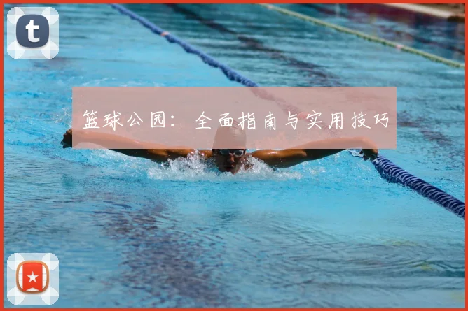 篮球公园：全面指南与实用技巧