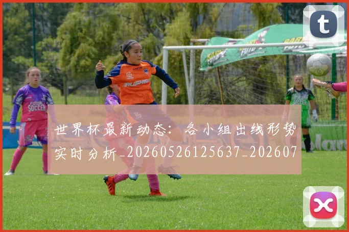 世界杯最新动态:各小组出线形势实时分析_20260526125637_20260715190825
