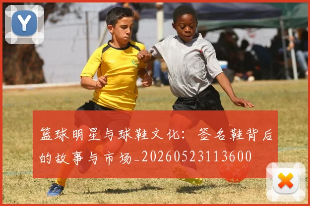 篮球明星与球鞋文化:签名鞋背后的故事与市场_20260523113600